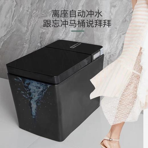 2062A智能坐便器-全黑 商品图1
