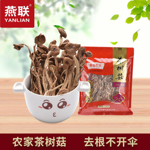 燕联茶树菇238g 商品图0