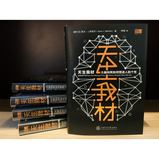 天生我材：大脑构筑如何塑造人的个性 商品图1
