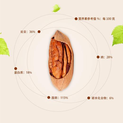 燕联碧根果400g 商品图3