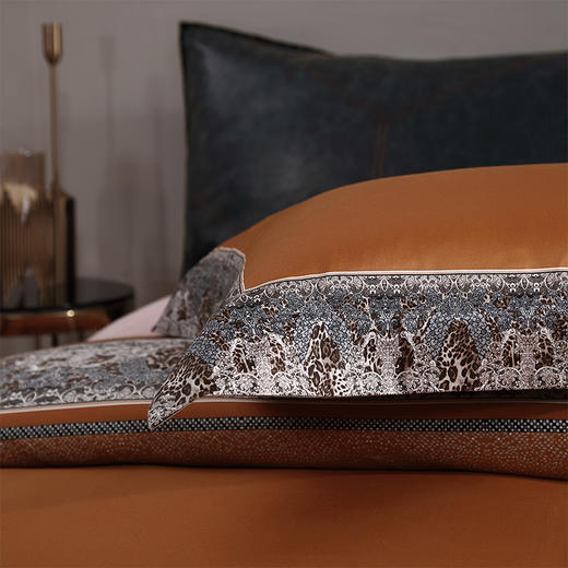 玛雅魅影长绒棉四件套 商品图4