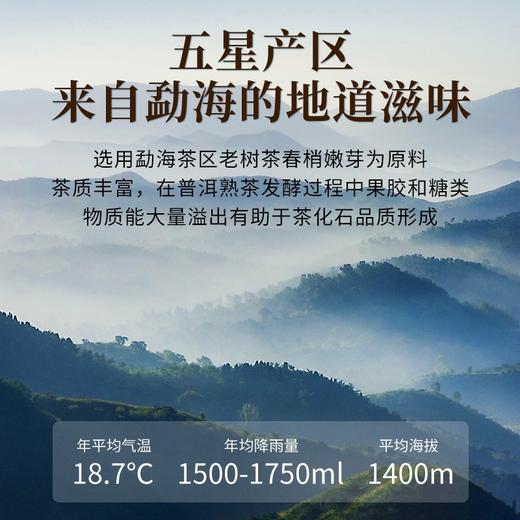 传奇会普洱茶茶叶 五星碎银子糯米香500g 云南勐海糯香熟普茶化石普洱熟茶老茶头礼盒装 商品图9