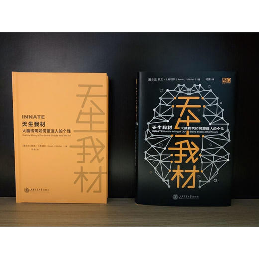 天生我材：大脑构筑如何塑造人的个性 商品图4