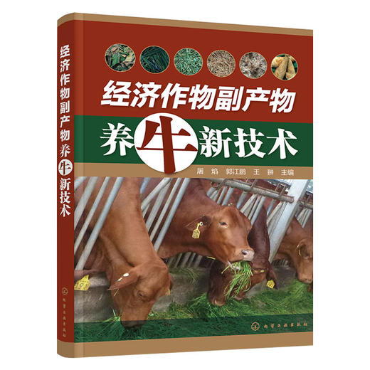 经济作物副产物养牛新技术 商品图0