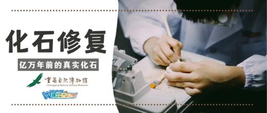 【重庆】重庆自然博物馆--达尔文实验站 商品图0