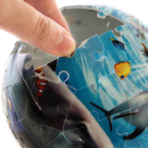 Ravensburger拼图睿思3D拼图球海洋世界121281 商品图3