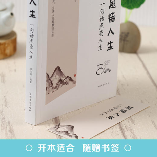 【9.9元包邮】感悟人生 一句话点亮人生 包与容成功学哲理心灵鸡汤修养情绪情商厚黑学 商品图3