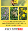 蜂蜜 商品缩略图5