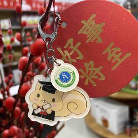 毕业小念钥匙扣 松鼠钥匙扣 毕业松鼠钥匙扣 文创钥匙链
