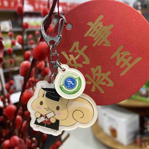 毕业小念钥匙扣 松鼠钥匙扣 毕业松鼠钥匙扣 文创钥匙链 商品图0