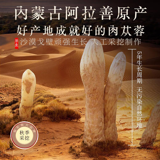 福东海 肉苁蓉100克罐装 内蒙古阿拉善大芸肉苁蓉片苁蓉鲜干片玛咖锁阳黄精淫羊藿男性滋补品泡酒料 商品图4