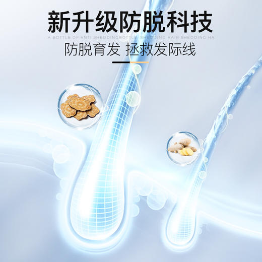 【舍曼洗发水】米雅诗防脱发洗发水 生姜何首乌滋养控油 商品图1