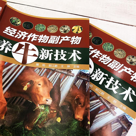 经济作物副产物养牛新技术 商品图3