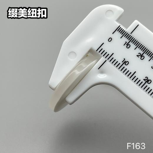 F163(整包购买) 商品图7