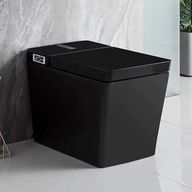 2062A智能坐便器-全黑