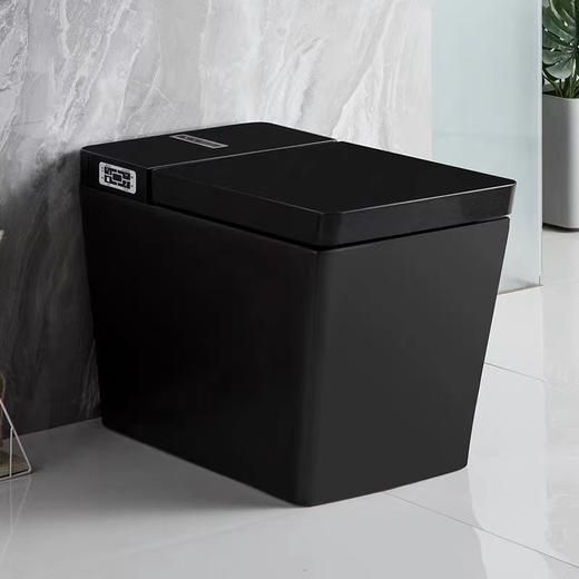 2062A智能坐便器-全黑 商品图0