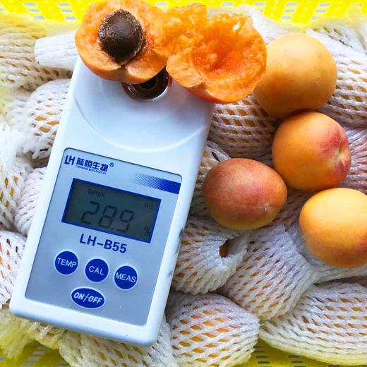 新疆阿克苏兵团小红杏【3斤60-80枚】 商品图5