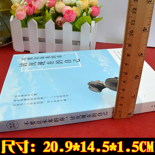 【9.9元专区】不要让未来的你讨厌现在的自己 提高内涵气质提升自我修养青春文学小说励志女性男性 商品图1