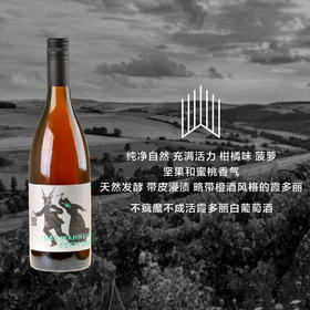 【橙酒风格】酒富不疯魔不成活白葡萄酒 WEINREICH DES WAHNSINNS FETTE BEUTE