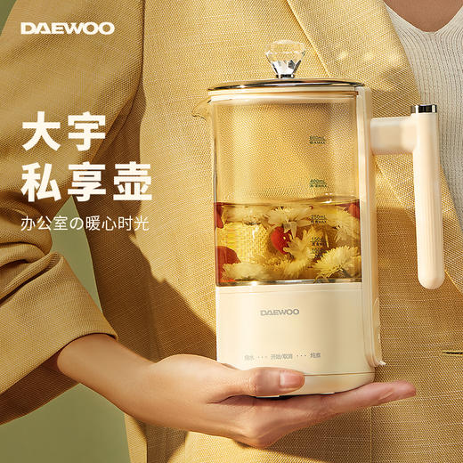 DAEWOO大宇 mini养生壶多功能煮茶器办公室小型烧水壶YS2 商品图0