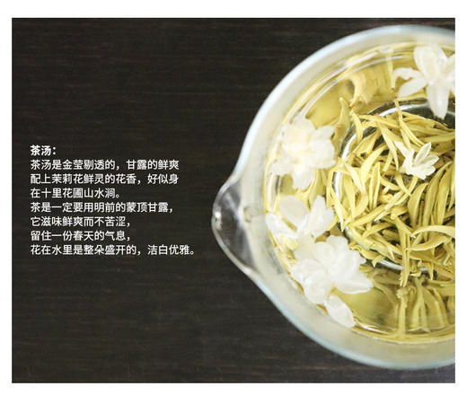高等级茉莉甘露 纯茉莉花窨制 明前高山甘露绿茶 无香精 50克装 商品图7