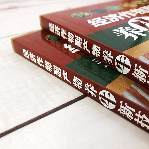 经济作物副产物养牛新技术 商品图4