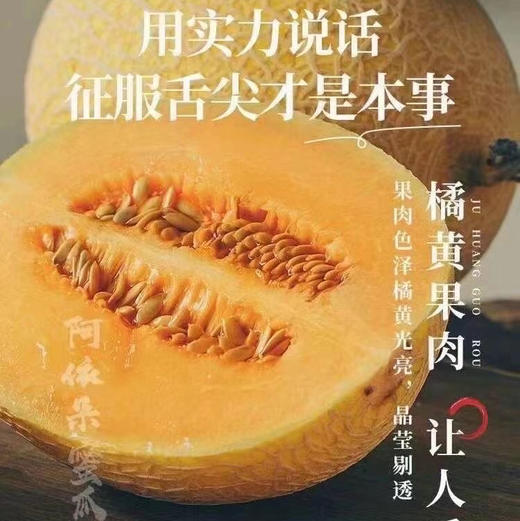 黄肉🎉高甜蜜瓜，恐龙蛋蜜瓜，征服舌尖 高甜度➕高脆度蜜瓜‼️‼️一款被阳光亲吻过的蜜瓜 商品图0