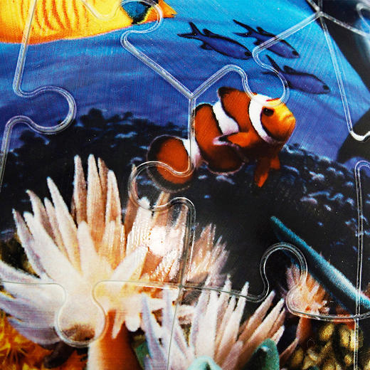 Ravensburger拼图睿思3D拼图球海洋世界121281 商品图2