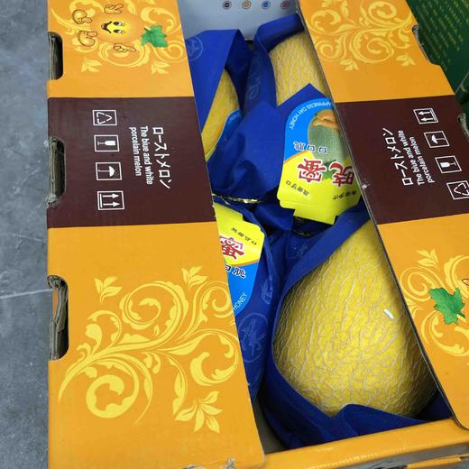 黄肉🎉高甜蜜瓜，恐龙蛋蜜瓜，征服舌尖 高甜度➕高脆度蜜瓜‼️‼️一款被阳光亲吻过的蜜瓜 商品图3