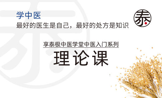 【经络】003 十二经脉的命名规律 商品图0