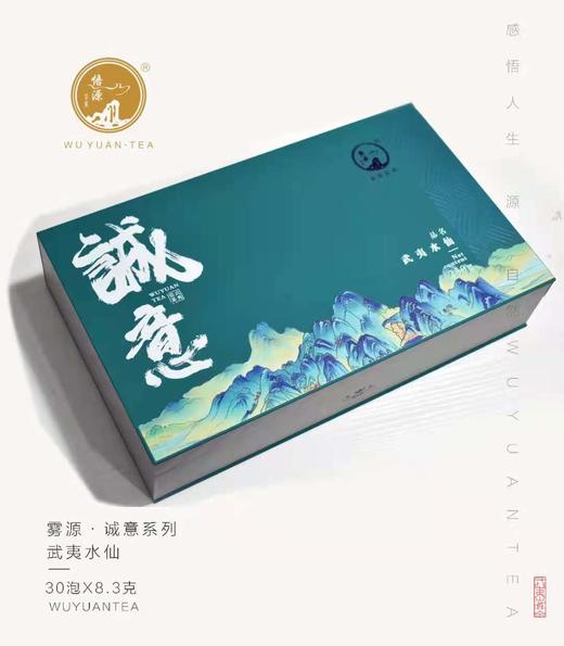 自营（雾源）-海云端董事长的茶 正宗武夷山 正岩浓香型袋装 大红袍茶叶 一级 岩茶 水仙 250g 商品图0