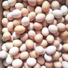 【活动特惠】永州土鸡蛋白壳/绿壳，收货请放冰箱冷藏保存，鸡蛋摆放方式小头朝下，大头朝上。个人方法保存不当一律不售后！满88包邮 商品缩略图0