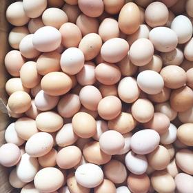 【活动特惠】永州土鸡蛋白壳/绿壳，收货请放冰箱冷藏保存，鸡蛋摆放方式小头朝下，大头朝上。个人方法保存不当一律不售后！满88包邮