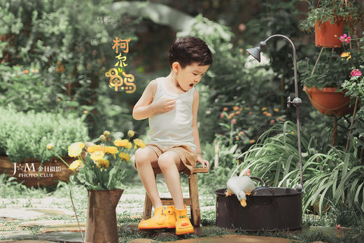 《柯尔鸭》 商品图0