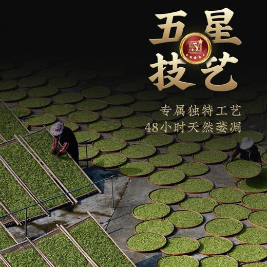 传奇会茶叶 正宗福鼎老白茶白毫银针 陈香高山紧压老白茶茶饼共300g 商品图7