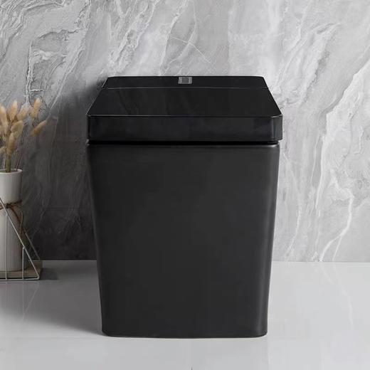 2062A智能坐便器-全黑 商品图2