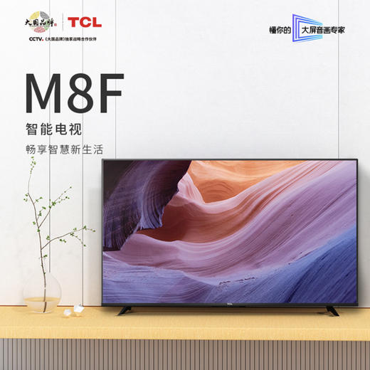 TCL电视42M8F 商品图0