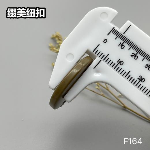F164(整包购买) 商品图5