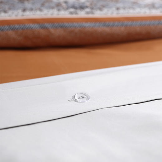 玛雅魅影长绒棉四件套 商品图6