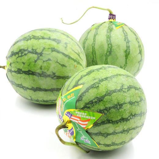 帅童西瓜1个约4斤