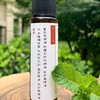 极简归零香薰驱蚊喷雾 30毫升装 100毫升装 商品缩略图7