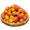 新疆阿克苏兵团小红杏【3斤60-80枚】 商品缩略图4