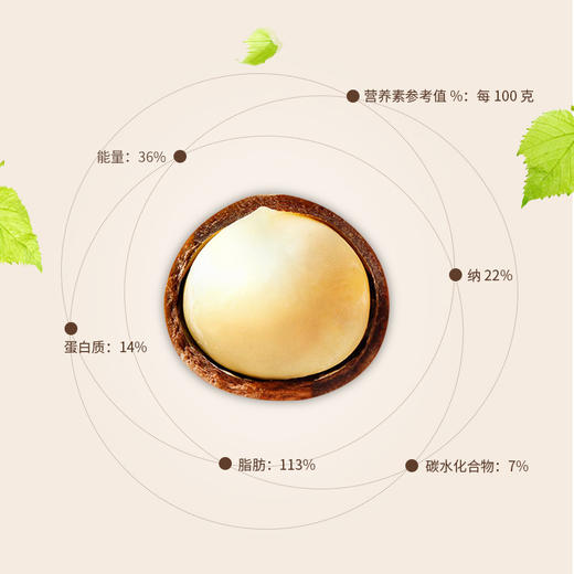 燕联夏威夷果460g 商品图3