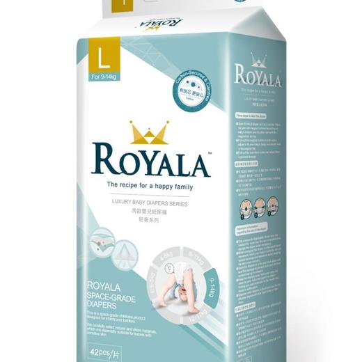 芮欧婴儿纸尿裤 L42片 商品图0