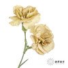 多头康乃馨 | 土星 商品缩略图3