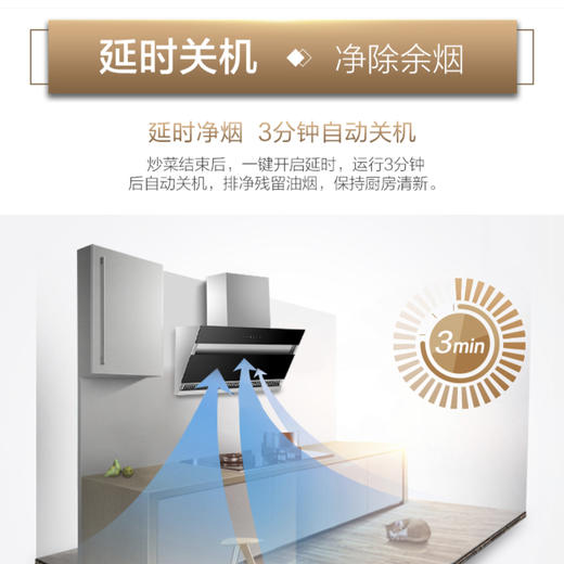 海尔（Haier）烟机CXW-219-C2903 商品图6