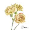 多头康乃馨 | 土星 商品缩略图1