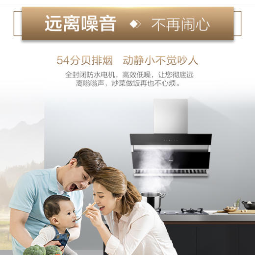 海尔（Haier）烟机CXW-219-C2903 商品图4