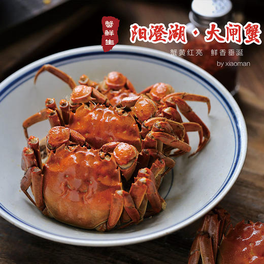 蟹先生六月黄大闸蟹 商品图1