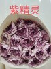 康乃馨·紫精灵 商品缩略图0